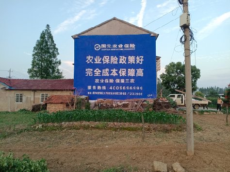 泸水墙体广告的优劣势你知道吗？